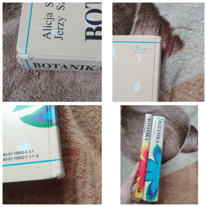 Botanika morfologia systematyka