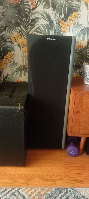 Kolumny Tonsil Voyager