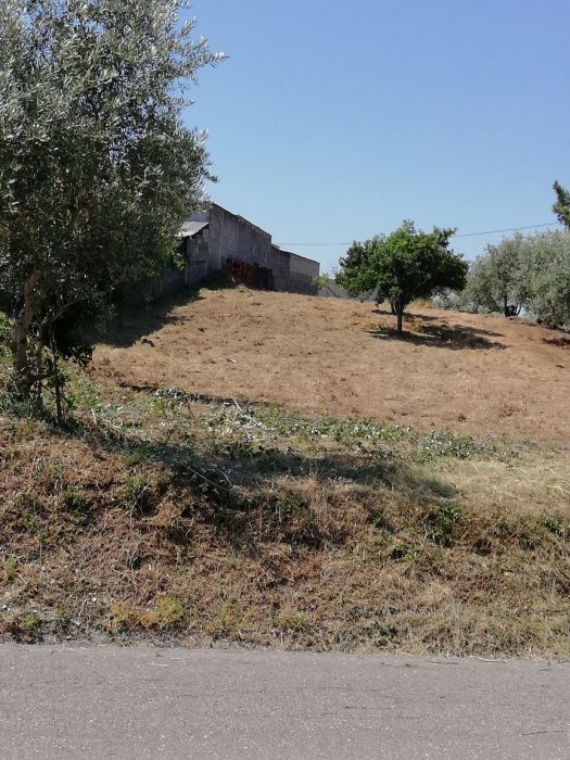 Terreno para construção de moradia — Soure, Coimbra