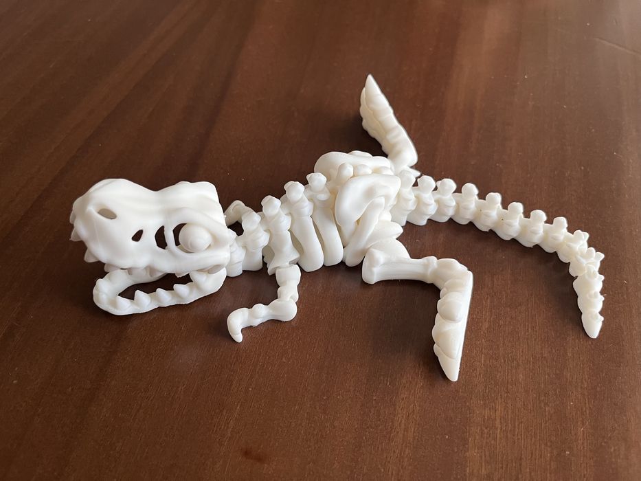 Szkielet dinozaura  T-Rex