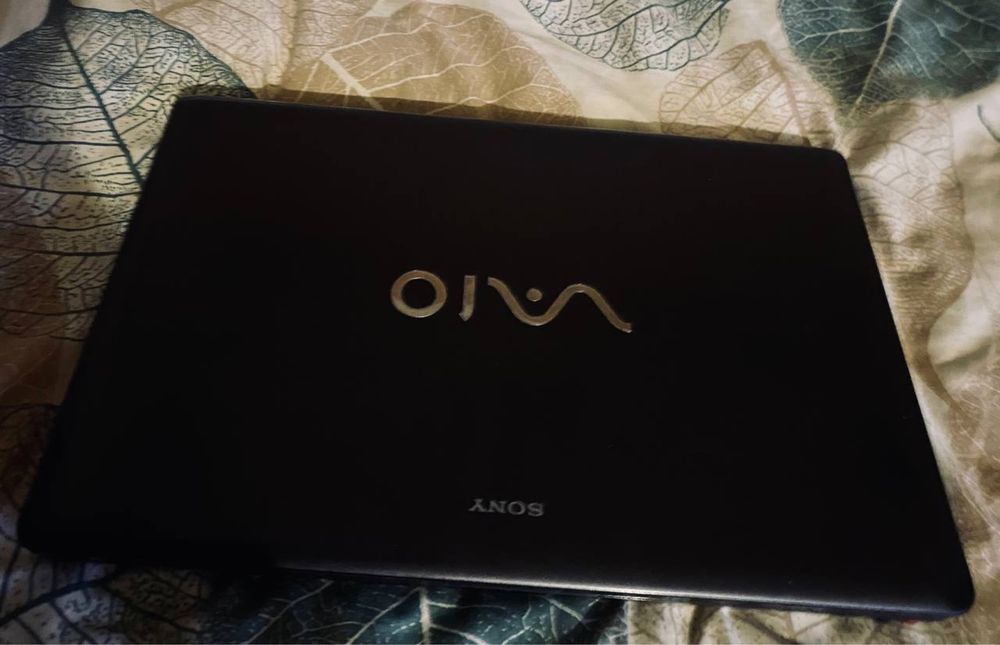 Sony VAIO PCG-71313M