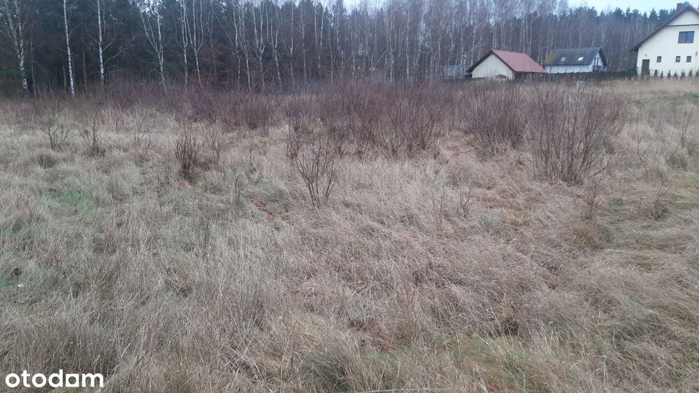 Charzykowy Działka Budowlana Jezioro Media MPZP - Widok 6