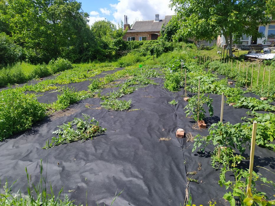 Будинок 80 м² 26 оот. У Луцьку