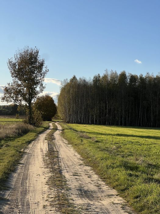 Sprzedam las gmina Stary Brus 9,11 ha