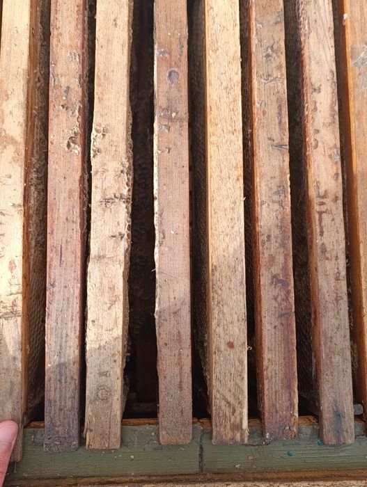 3- з корпусний вулик з рамками