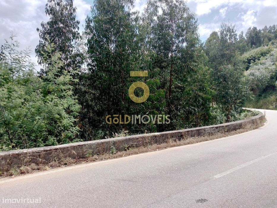 Terreno Rústico  Venda em Raiva, Pedorido e Paraíso,Castelo de Paiva