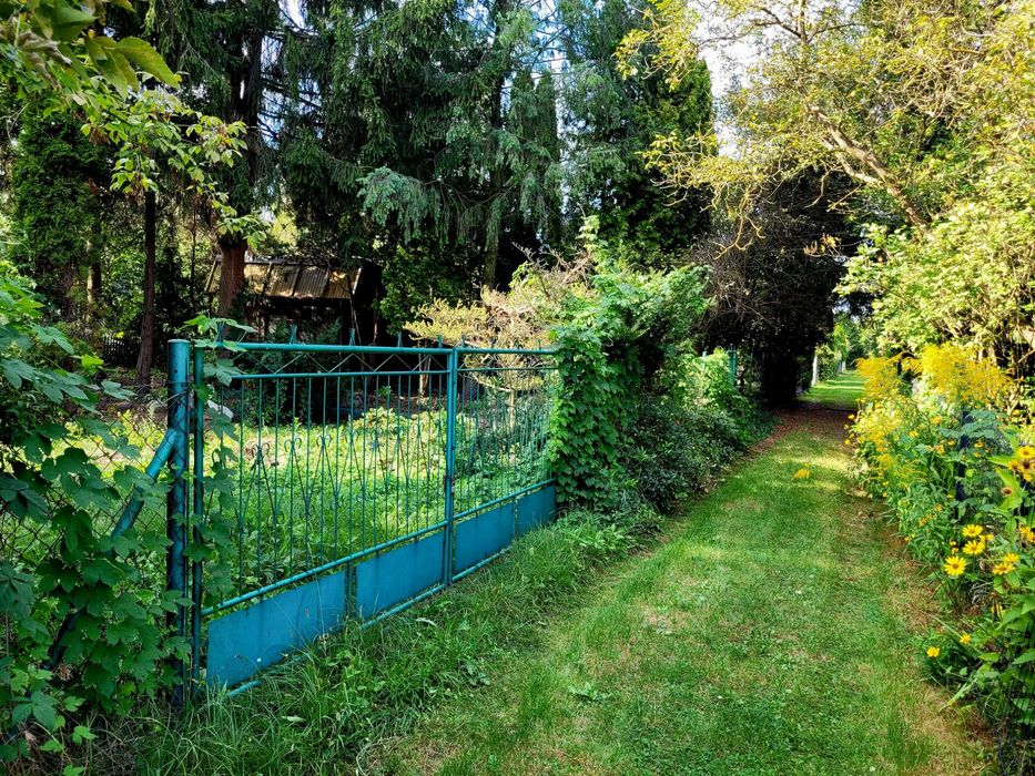Działka ROD 500 m² Augustówka Mokotów z domkiem, starodrzew - Ansicht 3