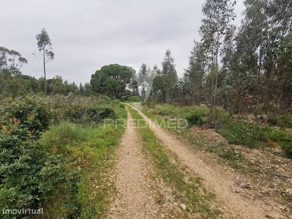 Terreno Misto — Vila Nova da Barquinha, Santarém