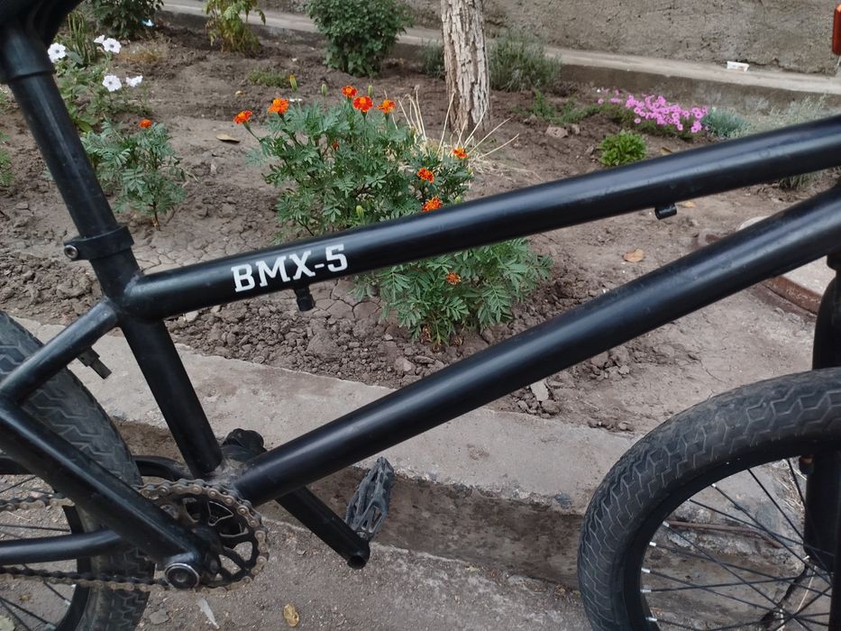 BMX возможный торг