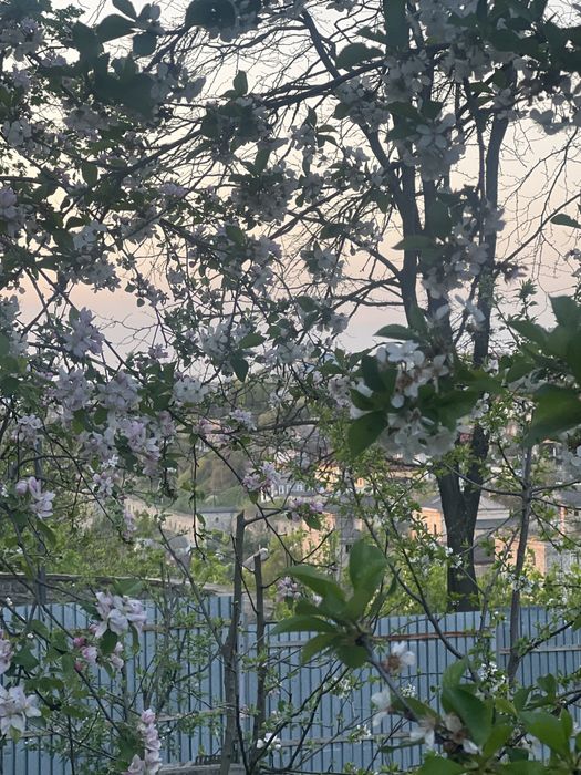 Будинок у чудовому місці