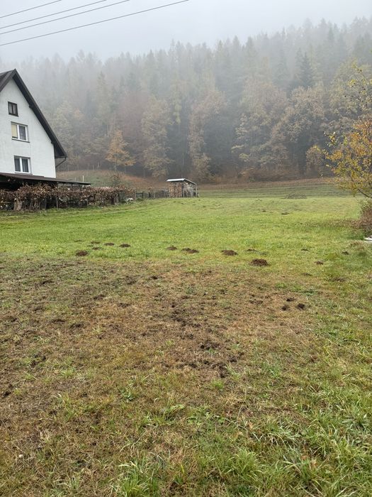Działka budowlana 9 arów