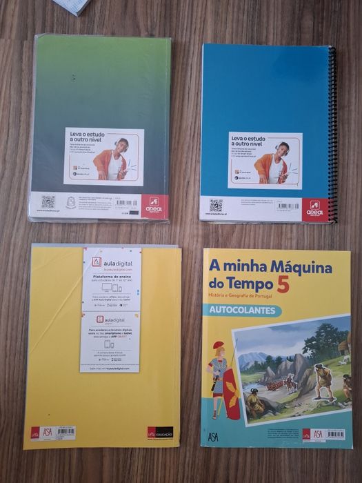 Manuais e cadernos escolares 5 Ano em bom estado
