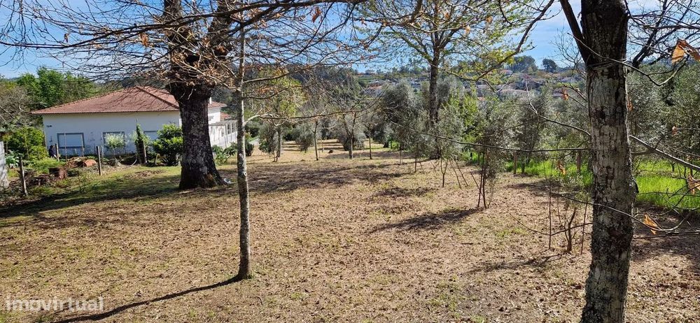 Terreno para moradia em Sarzedelo, Viseu — São Cipriano E Vil De Souto, Viseu