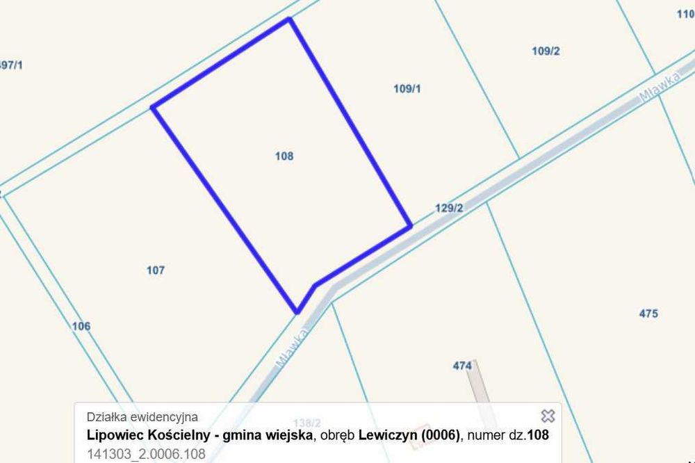 55m linii brzegowej rzeki Mławki – idealna pod staw i wypoczynek