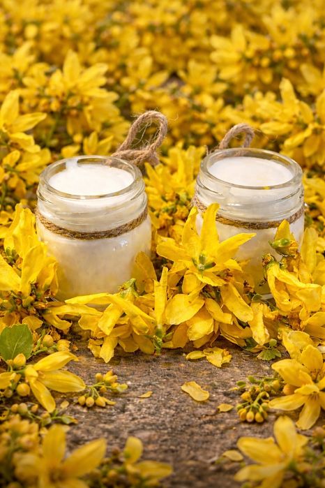 Naturalny Krem z forsycji