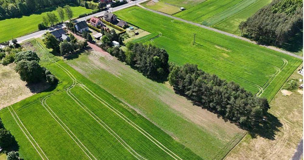 Działka budowlana przy urokliwym lasku. Wodzisław Śląski - Wilchwy - Widok 4