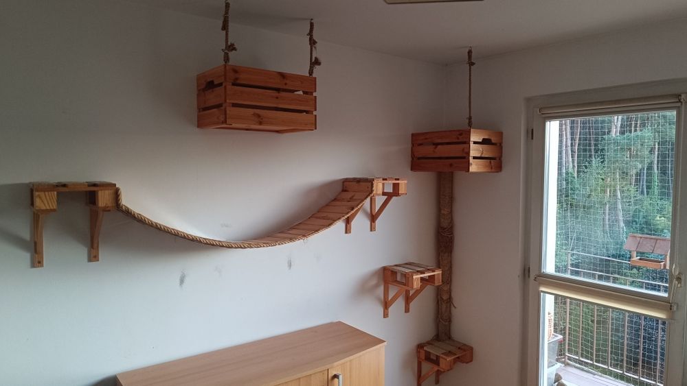 Drapak dla kota, tor przeszkód