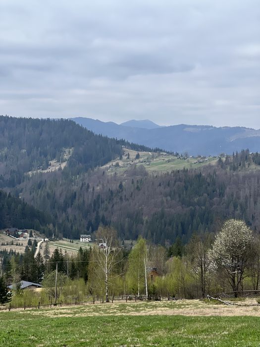 Земля Карпати Микуличин ( Власник) торг під будівництво 10 соток
