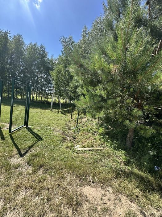 Продаж земельної ділянки в Лісових Гринівцях