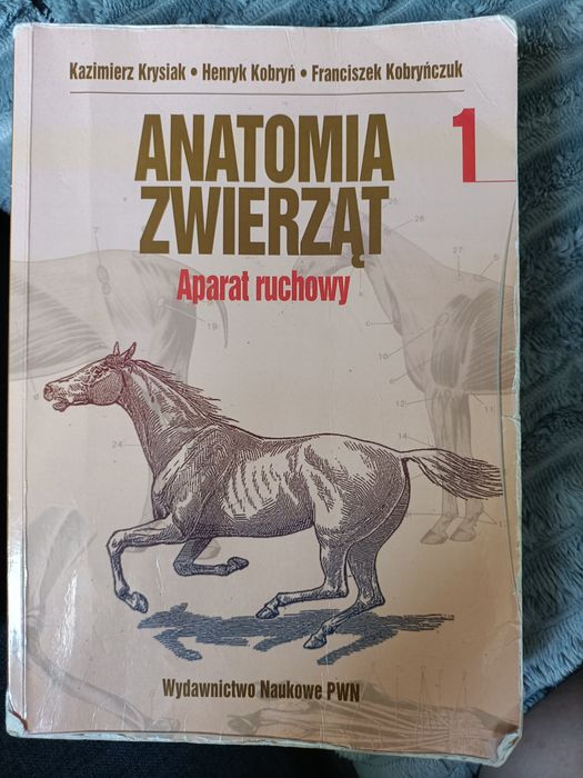 Anatomia zwierząt 1
