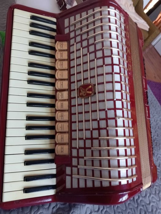 Sprzedam akordeon 120 bas: Hohner Student.