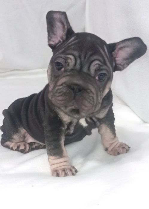 Дівчинка біг роп вільвєт