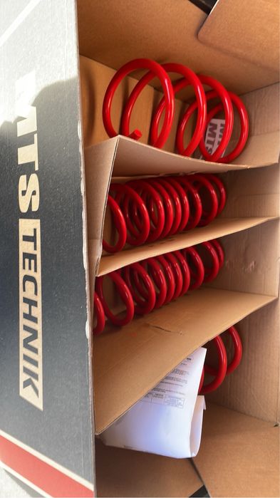 Molas rebaixamento leon 5F Tdi