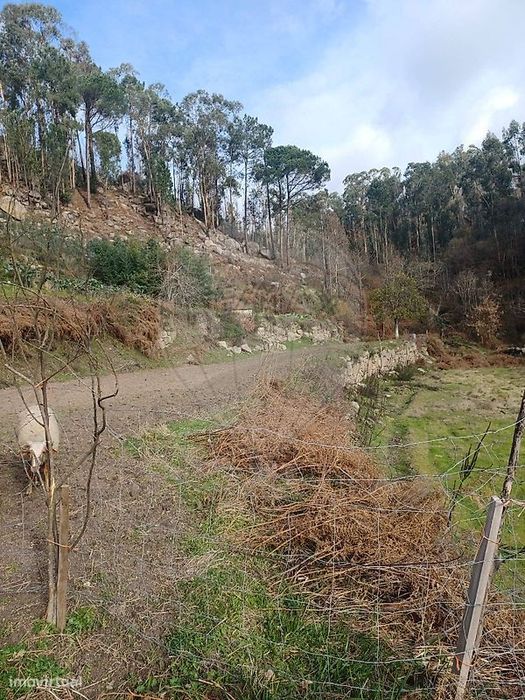 Terreno  para venda — Tabuado, Porto
