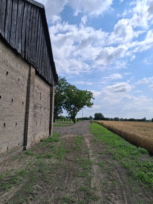 Siedlisko Rozwadówka
