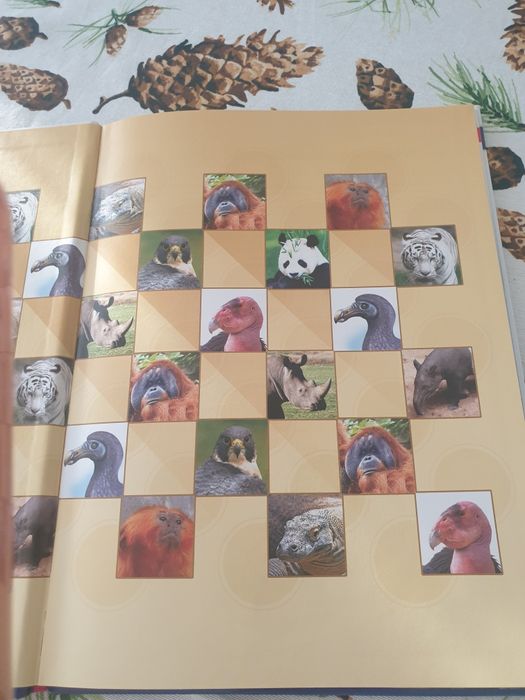 Książka dla dzieci o zwierzętach zagrożonych