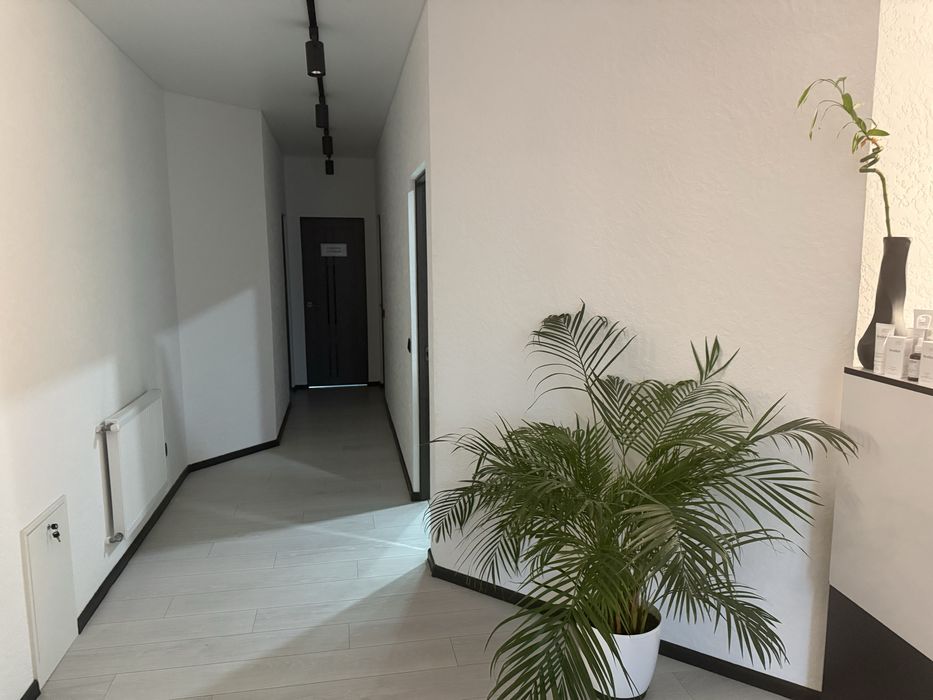 Комерційне приміщення в центрі Мукачева | 60 м² | Новий дизайнерський ремонт