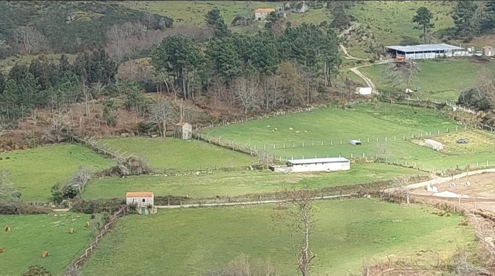 Terreno no Gove/Baião para venda