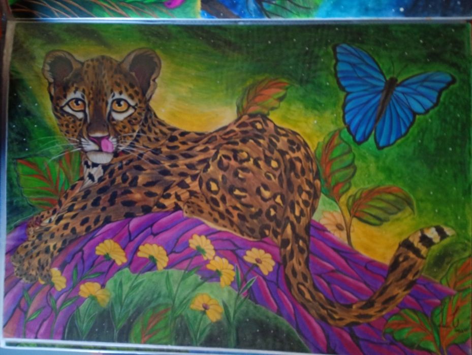 Desenhos a lápis de cor A2   40/60 cm
