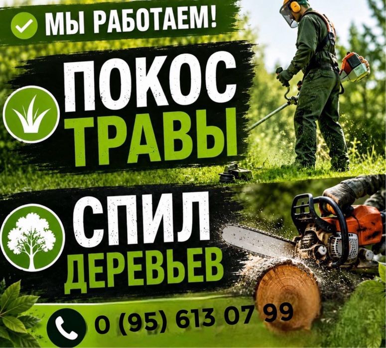 Покос тровы спил деревьев