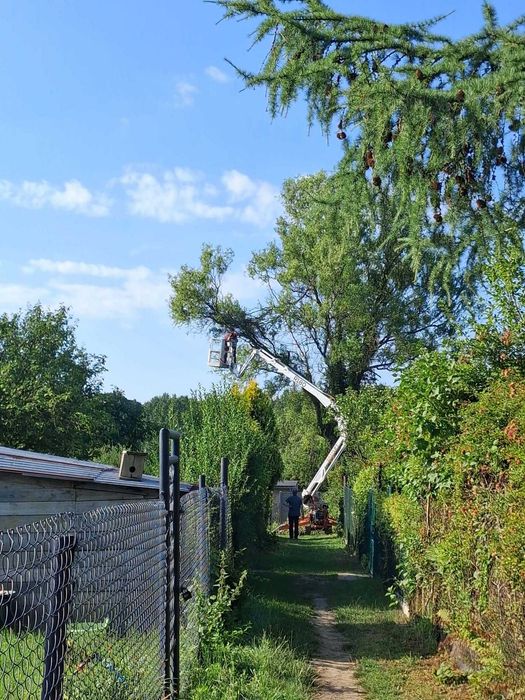 Przycinanie , Usuwanie , Pielęgnacja DRZEW i krzewów