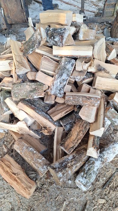 Дрова дуб,граб, акація,береза, сосна