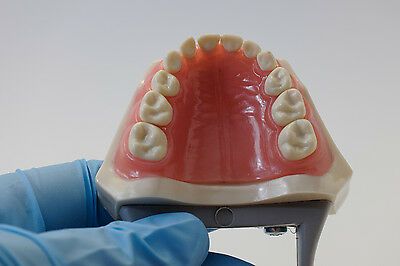 Frasaco estudo Medicina Dentária e outros - novos
