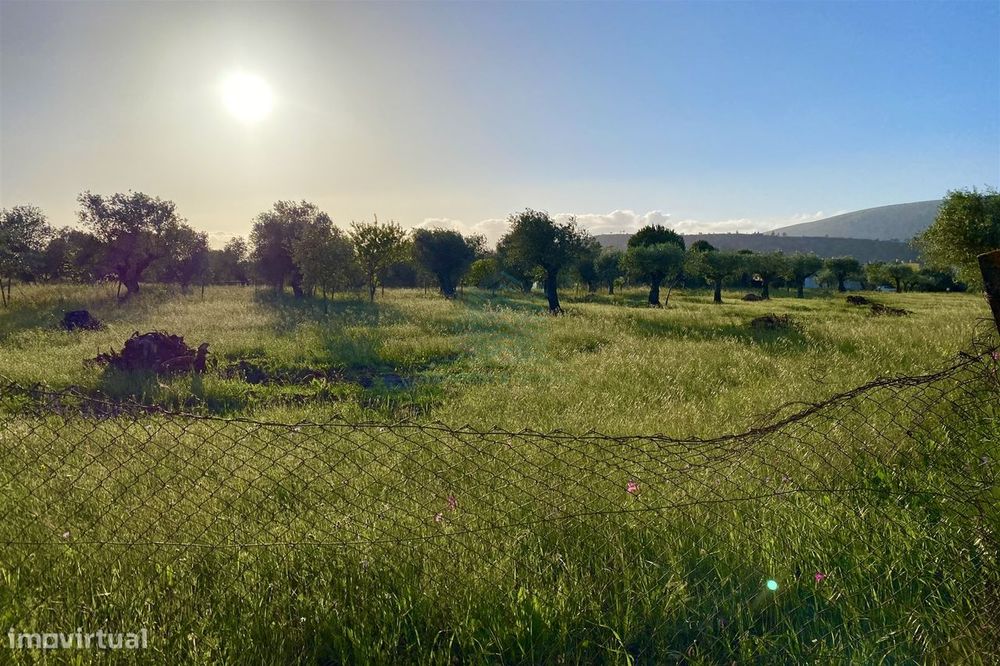 Terreno Rústico Urbanizável em Zibreira, Torres Novas