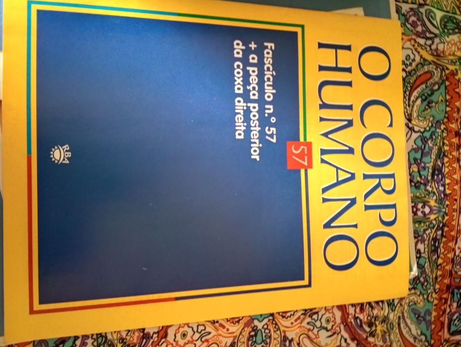 Conjunto de livros sobre o corpo humano.