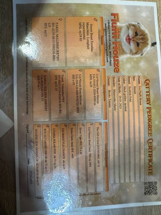 Чудова киця ,чудо у Вашій родині