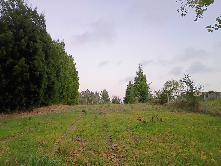 Grande Terreno 2745 M2 - Monte Arcado, Covoes
