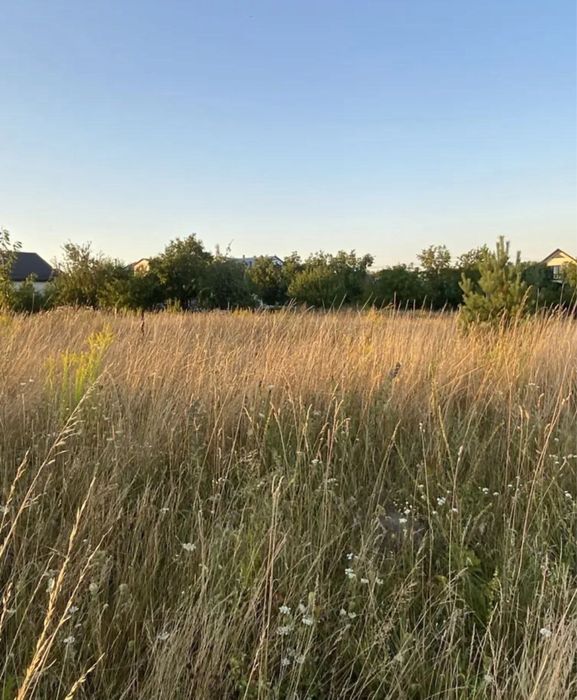 Продаж землі під Вінницею