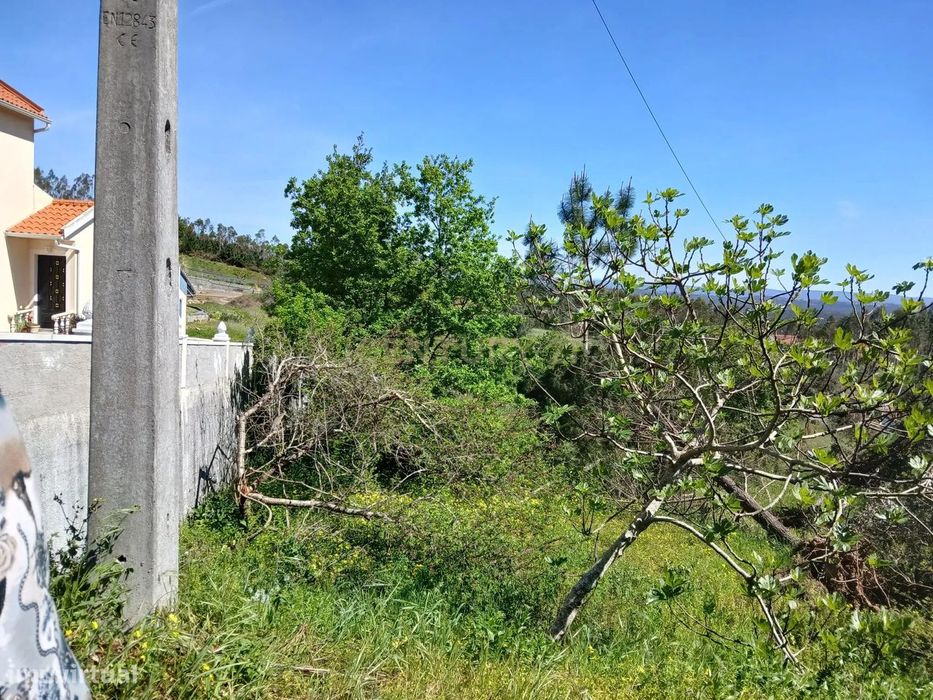 Terreno Rústico com Potencial de Construção | Ribeira de Santo Amaro – — Louriçal, Leiria