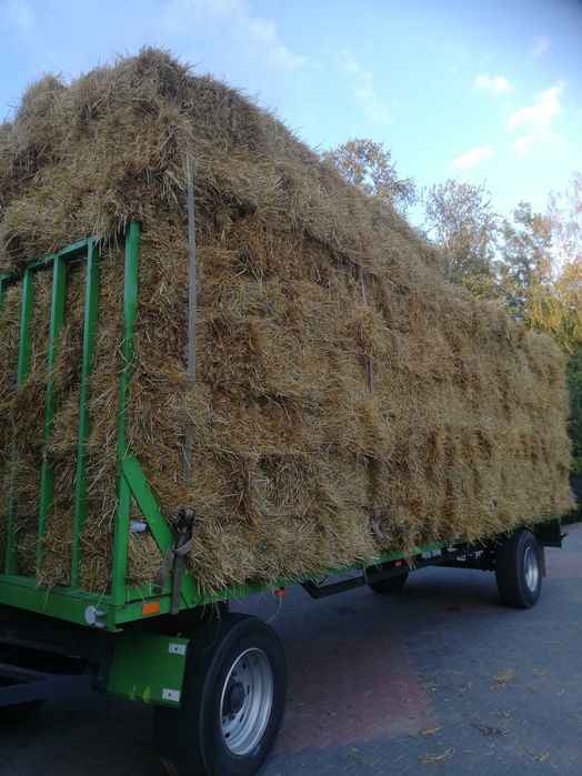 Przyczepa do Bel 9 M, resor Nasierowo Dolne • OLX.pl