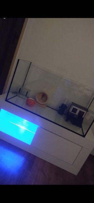 Akwarium/terrarium