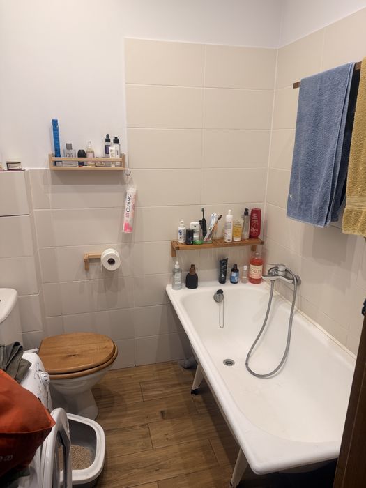 Kawalerka od 15 lutego wynajem