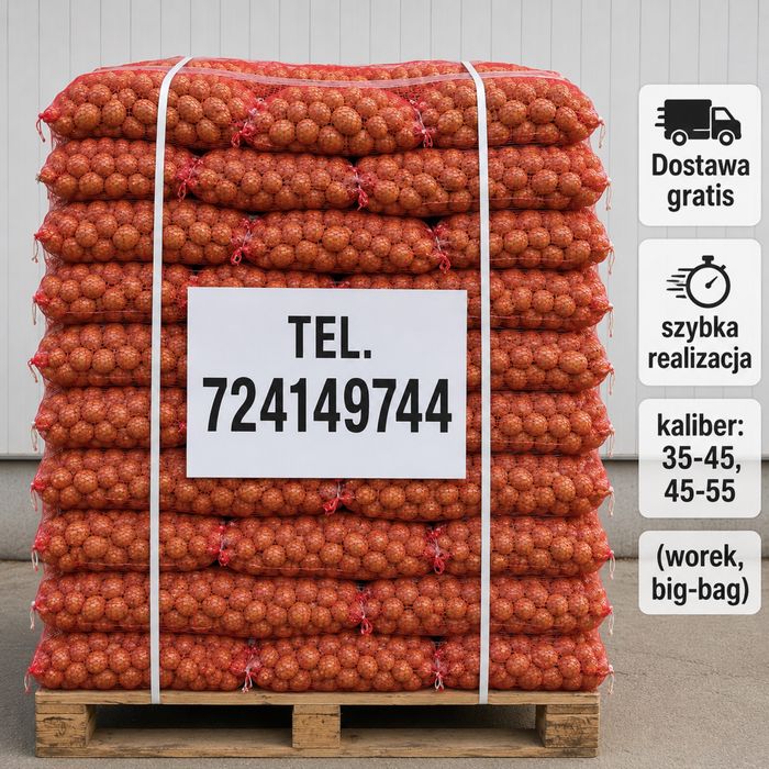 Ziemniaki o wielkości sadzeniaka. 724+149+744. Riviera, colombo, corina, soraya, quean anna, baltic rosa, vineta, denar, lilly, lord, irga,catania.