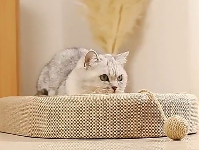 Arranhador/ Cama para Gatos em Sisal