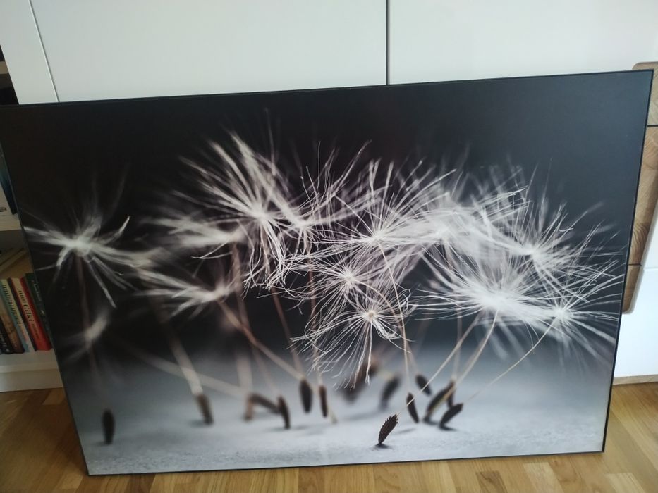 Sprzedam obraz "Dmuchawce"