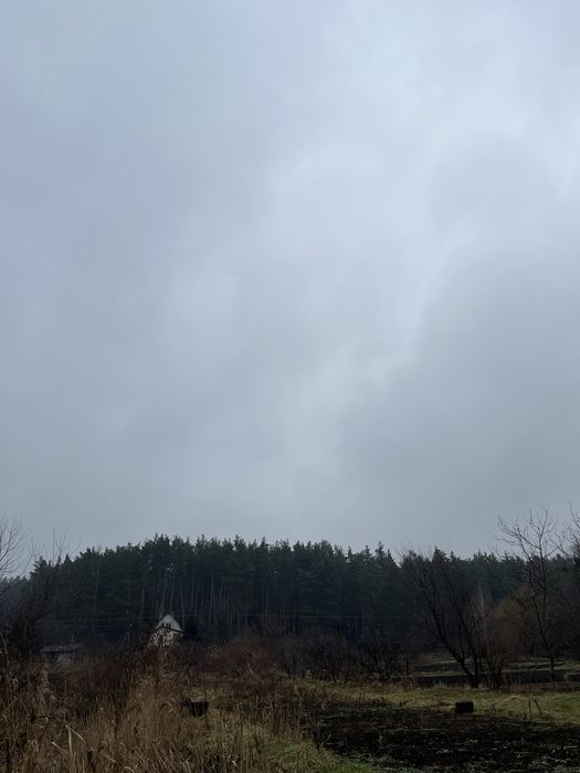 Продаж ділянки, Ходосівка